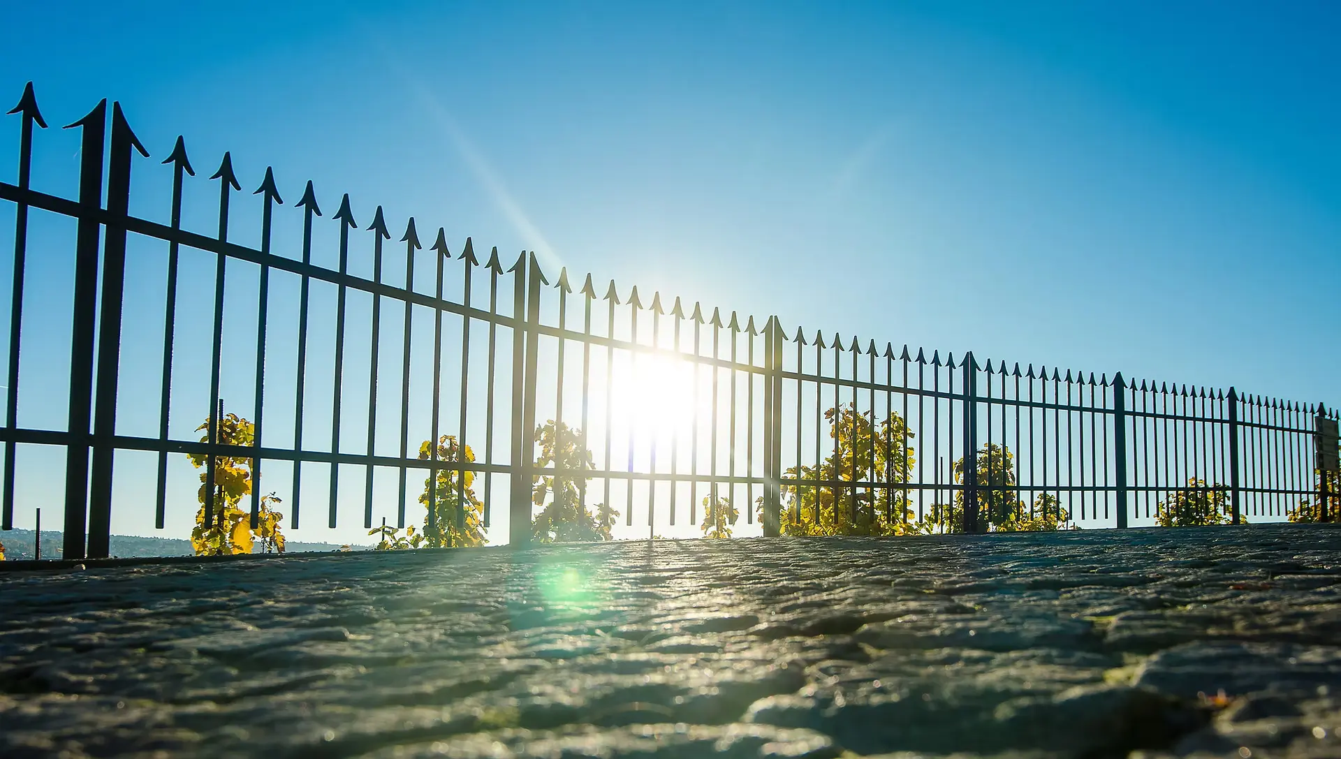 A black wire fence wraps around a facility